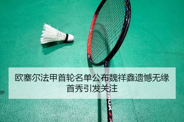 欧塞尔法甲首轮名单公布魏祥鑫遗憾无缘首秀引发关注